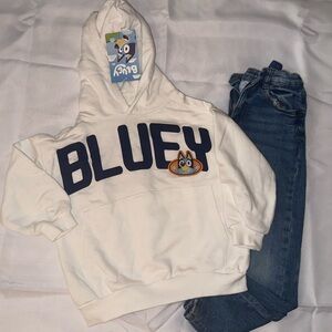 Zara Classic Blue Jeans Sz 5